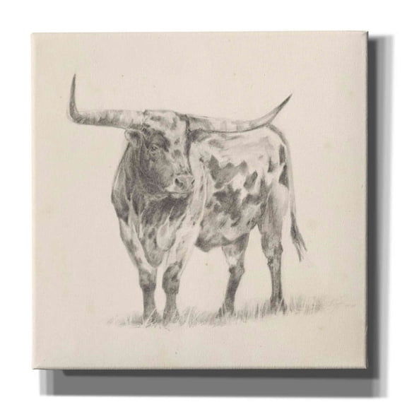 Epic Graffiti 'Longhorn Steer Sketch II' by Ethan Harper, Canvas Wall Art, 12"x12"