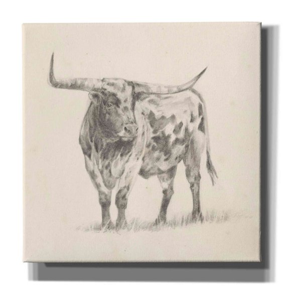 Epic Graffiti 'Longhorn Steer Sketch II' by Ethan Harper, Canvas Wall Art, 26"x26"