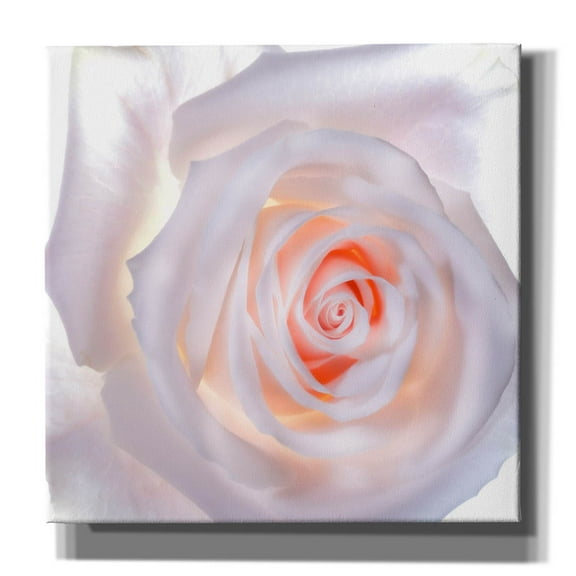 Epic Graffiti 'Love Is A Pink Rose' by Pamela Plummer, Canvas Wall Art, 18"x18"