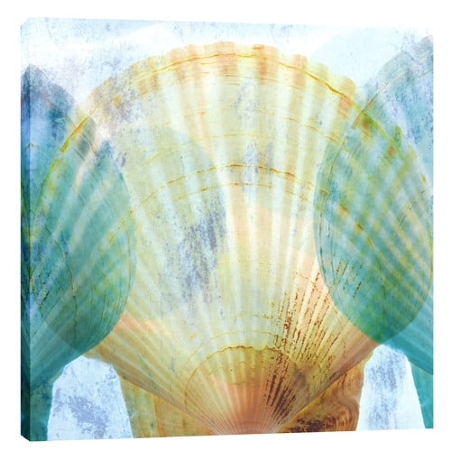Luminous Seashells Abstract Canvas Print in Blue and Beige