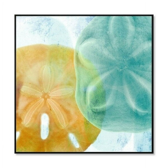 Epic Graffiti "Luminous Seashells" Framed High Gloss Acrylic Wall Art