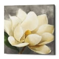 thumbnail image 1 of Epic Graffiti 'Magnolia Blossom on Gray' by Albena Hristova, Canvas Wall Art, 12"x12", 1 of 2