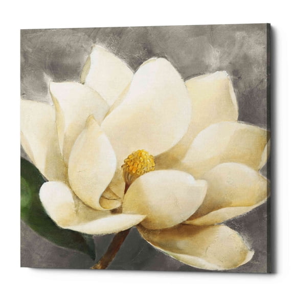 Epic Graffiti 'Magnolia Blossom on Gray' by Albena Hristova, Canvas Wall Art, 12"x12"