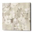 thumbnail image 1 of Epic Graffiti 'Magnolias in Spring II Neutral' by Albena Hristova, Canvas Wall Art, 26"x26", 1 of 2