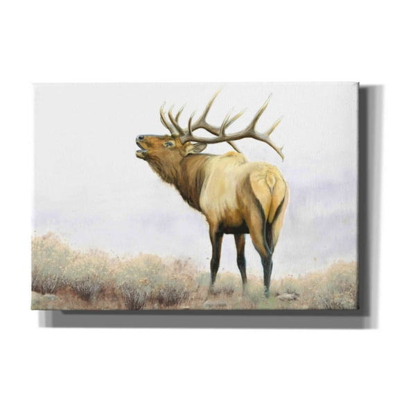 Epic Graffiti 'Majestic Elk' by James Wiens, Canvas Wall Art, 26"x18"