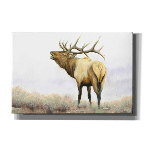 Epic Graffiti 'Majestic Elk' by James Wiens, Canvas Wall Art, 60"x40"