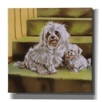 Epic Graffiti 'Maltese' by Barbara Keith, Canvas Wall Art, 37"x37"