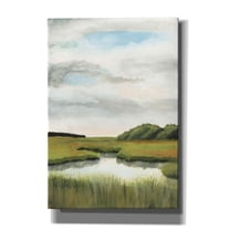 Epic Graffiti 'Marsh Landscapes II' by Naomi McCavitt, Canvas Wall Art, 18"x26"