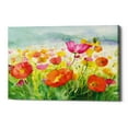 thumbnail image 1 of Epic Graffiti  'Meadow Poppies' by Danhui Nai, Giclee Canvas Wall Art - Orange 26" x 18", 1 of 2