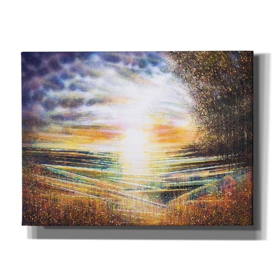 Epic Graffiti 'Meadow at Sunset' by Marc Todd, Canvas Wall Art, 16"x12"