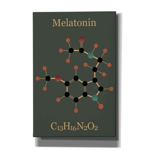 Epic Graffiti 'Melatonin Molecule III' by Epic Portfolio, Giclee Canvas Wall Art, 12"x18"