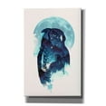 thumbnail image 1 of Epic Graffiti 'Midnight Owl' by Robert Farkas, Canvas Wall Art, 40"x60", 1 of 2