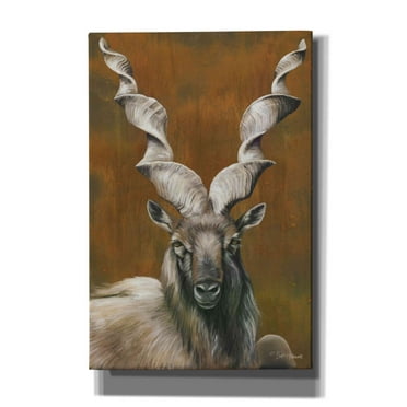 Epic Graffiti 'Mighty Markhor' by Britt Hallowell, Canvas Wall Art, 12"x18"
