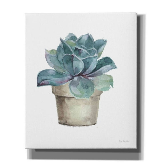 Epic Graffiti 'Mixed Greens Succulent IV' by Lisa Audit, Canvas Wall Art, 20"x24"