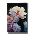 thumbnail image 1 of Epic Graffiti 'Morning Glow II' by James Wiens, Canvas Wall Art, 18"x26", 1 of 2