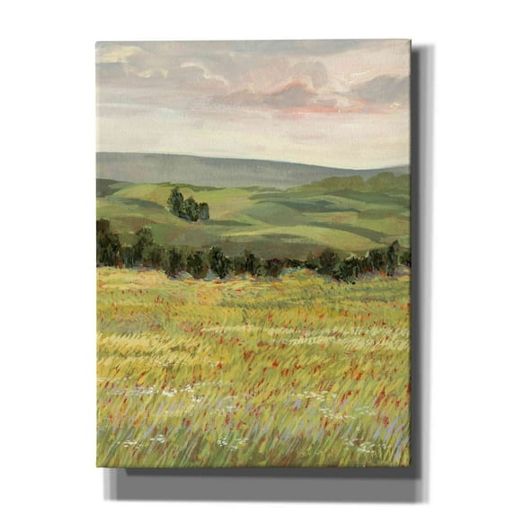 Epic Graffiti 'Morning Meadow I' by Victoria Borges, Canvas Wall Art, 40"x54"