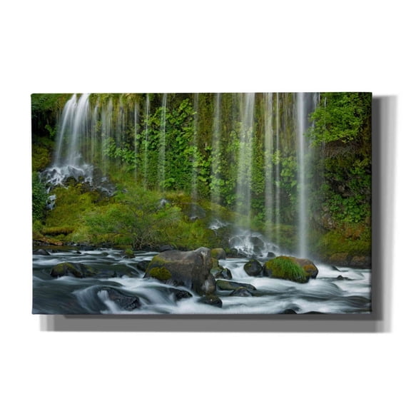 Epic Graffiti 'Mossbrae Falls' by Mike Jones, Giclee Canvas Wall Art, 40"x26"