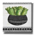 thumbnail image 1 of Epic Graffiti 'Mud Cloth Black and White Succulent I' by Cindy Jacobs, Canvas Wall Art, 26"x26", 1 of 2