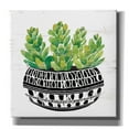thumbnail image 1 of Epic Graffiti 'Mud Cloth Succulent IV' by Cindy Jacobs, Canvas Wall Art, 18"x18", 1 of 2