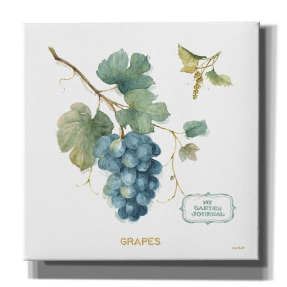 Epic Graffiti 'My Greenhouse Fruit III' by Lisa Audit, Canvas Wall Art, 18"x18"