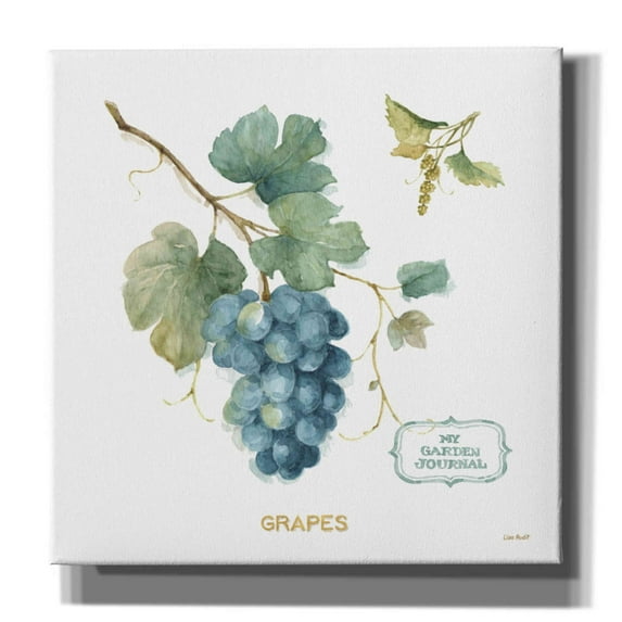 Epic Graffiti 'My Greenhouse Fruit III' by Lisa Audit, Canvas Wall Art, 26"x26"