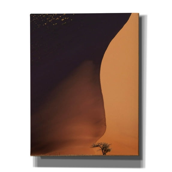 Epic Graffiti 'Namibia The Dune' by Nina Papiorek, Canvas Wall Art, 26"x34"