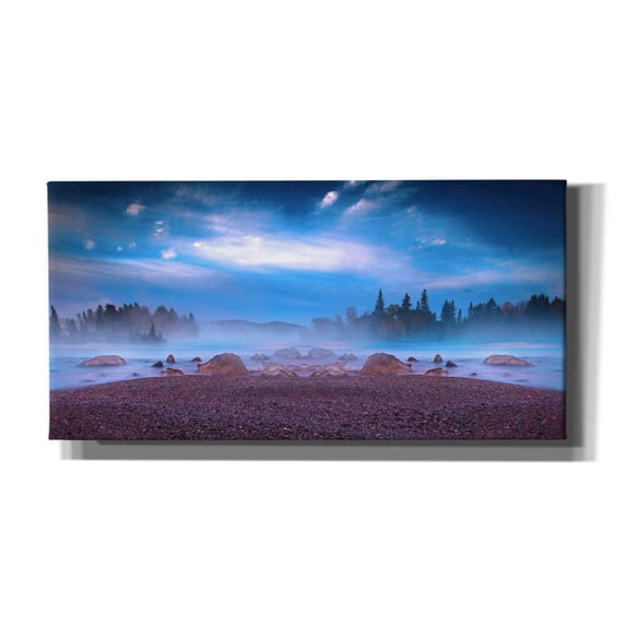 Epic Graffiti 'Nature Collection 13' by Ata Alishahi, Giclee Canvas Wall Art, 40"x20"
