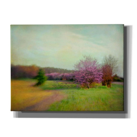 Epic Graffiti 'Nature Is Divine' by Dawn D Hanna, Giclee Canvas Wall Art, 34"x26"