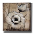 thumbnail image 1 of Epic Graffiti 'Neutral Poppies I' by Tim O'Toole, Canvas Wall Art, 26"x26", 1 of 2