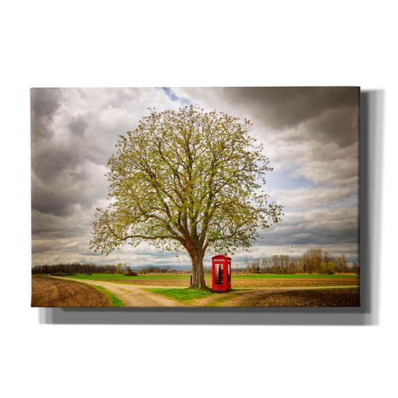 Epic Graffiti 'Never Alone' by Philippe Sainte-Laudy, Canvas Wall Art, 18"x12"