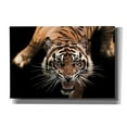 thumbnail image 1 of Epic Graffiti 'Nice Kitty' by Epic Portfolio Giclee Canvas Wall Art, 26"x18", 1 of 2