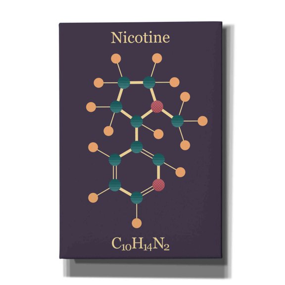 Epic Graffiti 'Nicotine Molecule' by Epic Portfolio, Giclee Canvas Wall Art, 18"x26"
