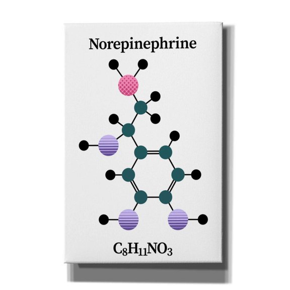 Epic Graffiti 'Norepinephrine Molecule' by Epic Portfolio, Giclee Canvas Wall Art, 12"x18"
