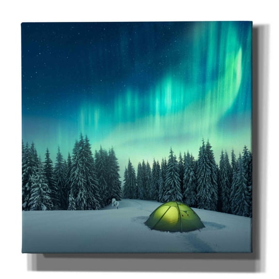 Epic Graffiti 'Northern Lights In Winter Forest 1' by Epic Portfolio, Giclee Canvas Wall Art, 12"x12"