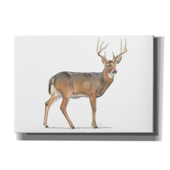 Epic Graffiti 'Northern Wild V' by James Wiens, Canvas Wall Art, 26"x18"