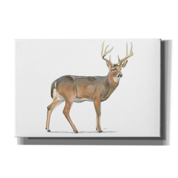 Epic Graffiti 'Northern Wild V' by James Wiens, Canvas Wall Art, 60"x40"