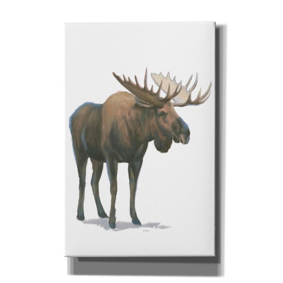 Epic Graffiti 'Northern Wild VI' by James Wiens, Canvas Wall Art, 26"x40"