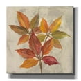 thumbnail image 1 of Epic Graffiti 'November Leaves I' by Silvia Vassileva, Canvas Wall Art, 37"x37", 1 of 8