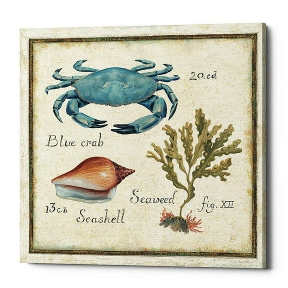 Epic Graffiti  'Oceanography IV' Canvas Wall Art, 12"x12" 12" x 12"