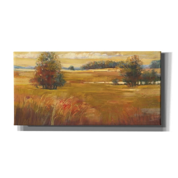 Epic Graffiti 'October Light Golden Sky' by Carol Rowan, Giclee Canvas Wall Art, 60"x30"