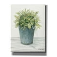 thumbnail image 1 of Epic Graffiti 'Old Bucket of Greenery' by Cindy Jacobs, Canvas Wall Art, 40"x54", 1 of 2