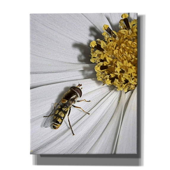 Epic Graffiti 'One' by SD Smart, Canvas Wall Art, 26"x34"