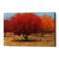 thumbnail image 1 of Epic Graffiti 'Orange Trees II' by James Wiens, Canvas Wall Art, 18"x26", 1 of 4
