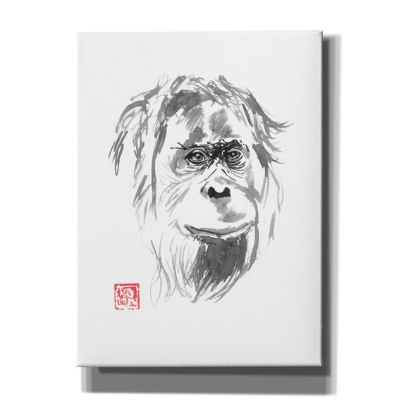 Epic Graffiti 'Orangutan 02' by Pechane, Canvas Wall Art, 40"x54"