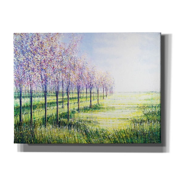 Epic Graffiti 'Orchard Trees In Blossom' by Marc Todd, Canvas Wall Art, 16"x12"