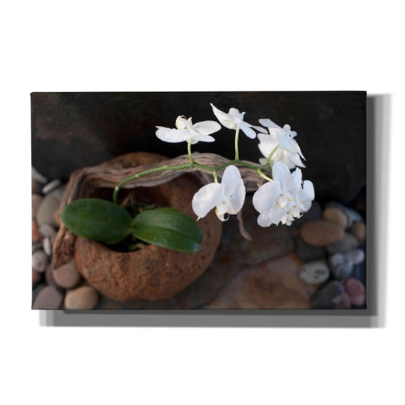 Epic Graffiti 'Orchid Flowers' by Elena Ray, Canvas Wall Art, 40"x26"