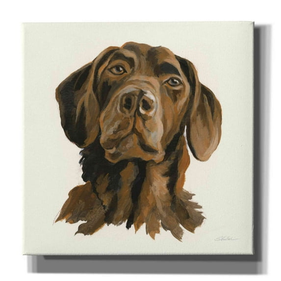 Epic Graffiti 'Oscar' by Silvia Vassileva, Canvas Wall Art, 18"x18"