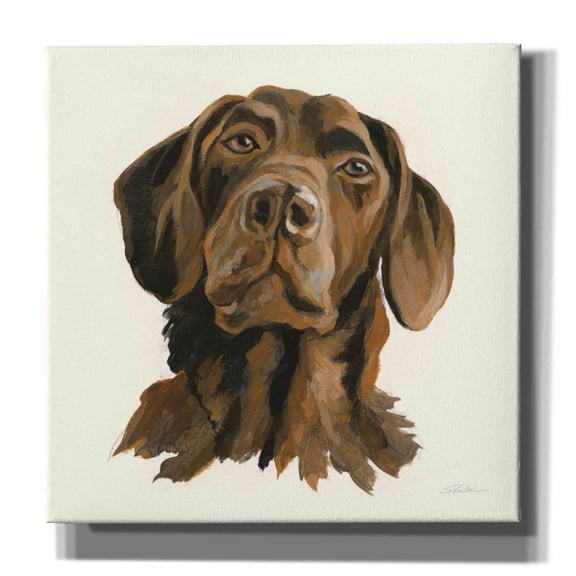 Epic Graffiti 'Oscar' by Silvia Vassileva, Canvas Wall Art, 26"x26"