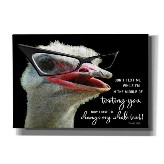 Epic Graffiti 'Ostrich Don't Text Me' by Cindy Jacobs, Canvas Wall Art, 26"x18"
