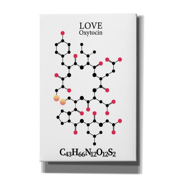 Epic Graffiti 'Oxytocin Molecule' by Epic Portfolio, Giclee Canvas Wall Art, 12"x18"